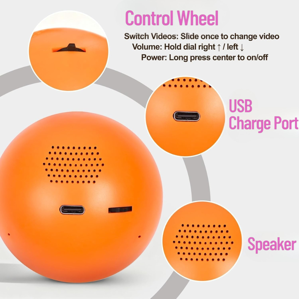 VisionOrb - Memory Orb