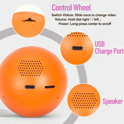 VisionOrb - Memory Orb