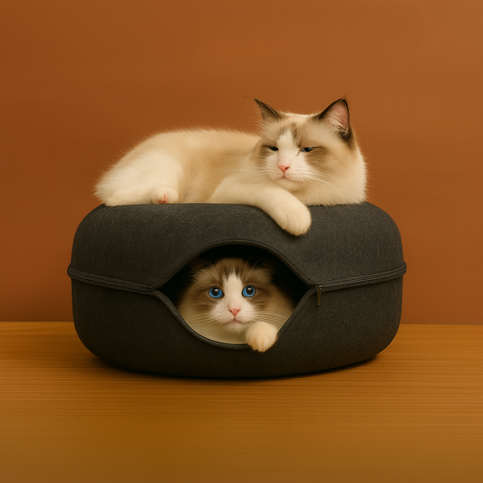 PurrNest